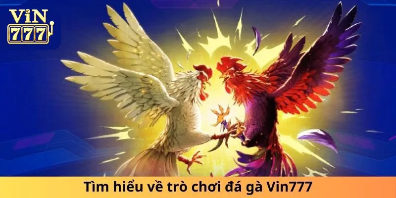 Tổng quan về sảnh cược đá gà Vin777